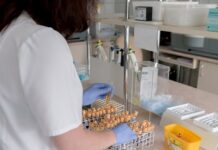 Κορωνοϊός: Κοντά σε νέο μοριακό τεστ Έλληνες ερευνητές γράφει το Reuters