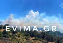 Εύβοια: Φωτιά κοντά στην Κάρυστο – Στον οικισμό Ραπταίοι