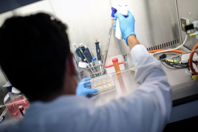 Scientist works on cells that produce antibodies against the coronavirus disease (COVID-19), in a university lab in Athens