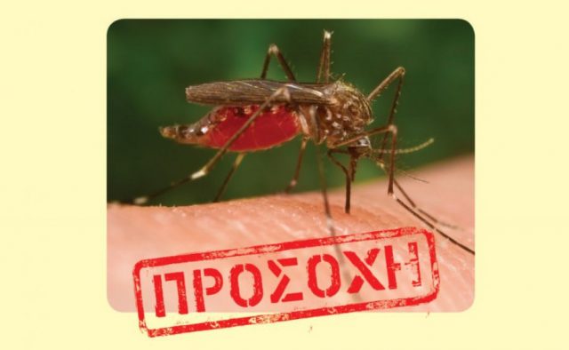 ιός-Δυτικού-Νείλου-640x394