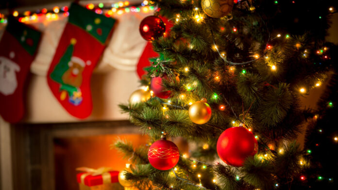 christmas-tree-socks