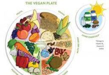 Vegan διατροφή: 6 οφέλη που προσφέρει στον οργανισμό σου και δεν το ξέρεις
