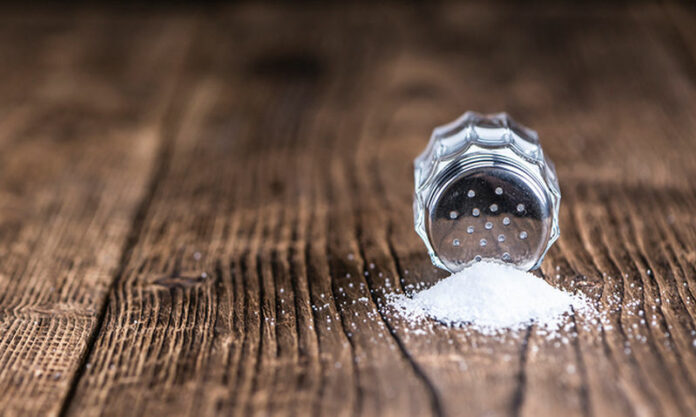 Salt-Shaker
