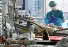 Γερμανία: Γέμισαν οι ΜΕΘ στη Βαυαρία – Ασθενής με κορονοϊό μεταφέρθηκε στην Ιταλία