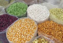 FAO – Σε υψηλό 10ετίας οι διεθνείς τιμές τροφίμων