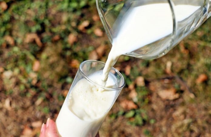 milk_1006